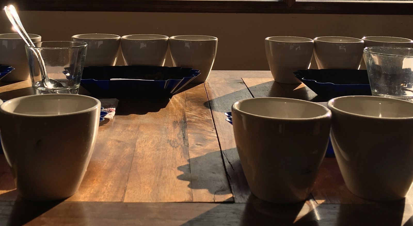Coffee cupping cups set up on a wooden table for tasting
